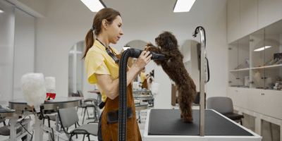 Basic Dog Grooming Course