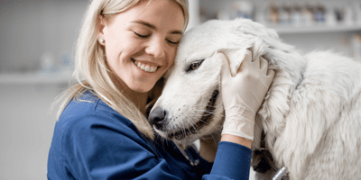 Dog Care, Dog Grooming and Dog First Aid Course