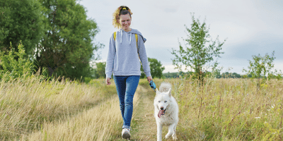 Level 3 Dog Walking Course