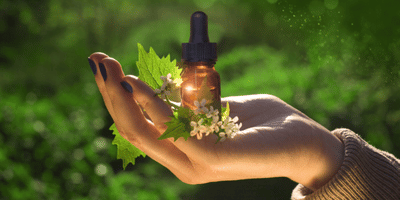 Bach Flower Remedies Diploma Course​