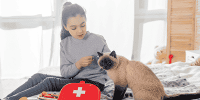 Cat First Aid, CPR and Emergency Care